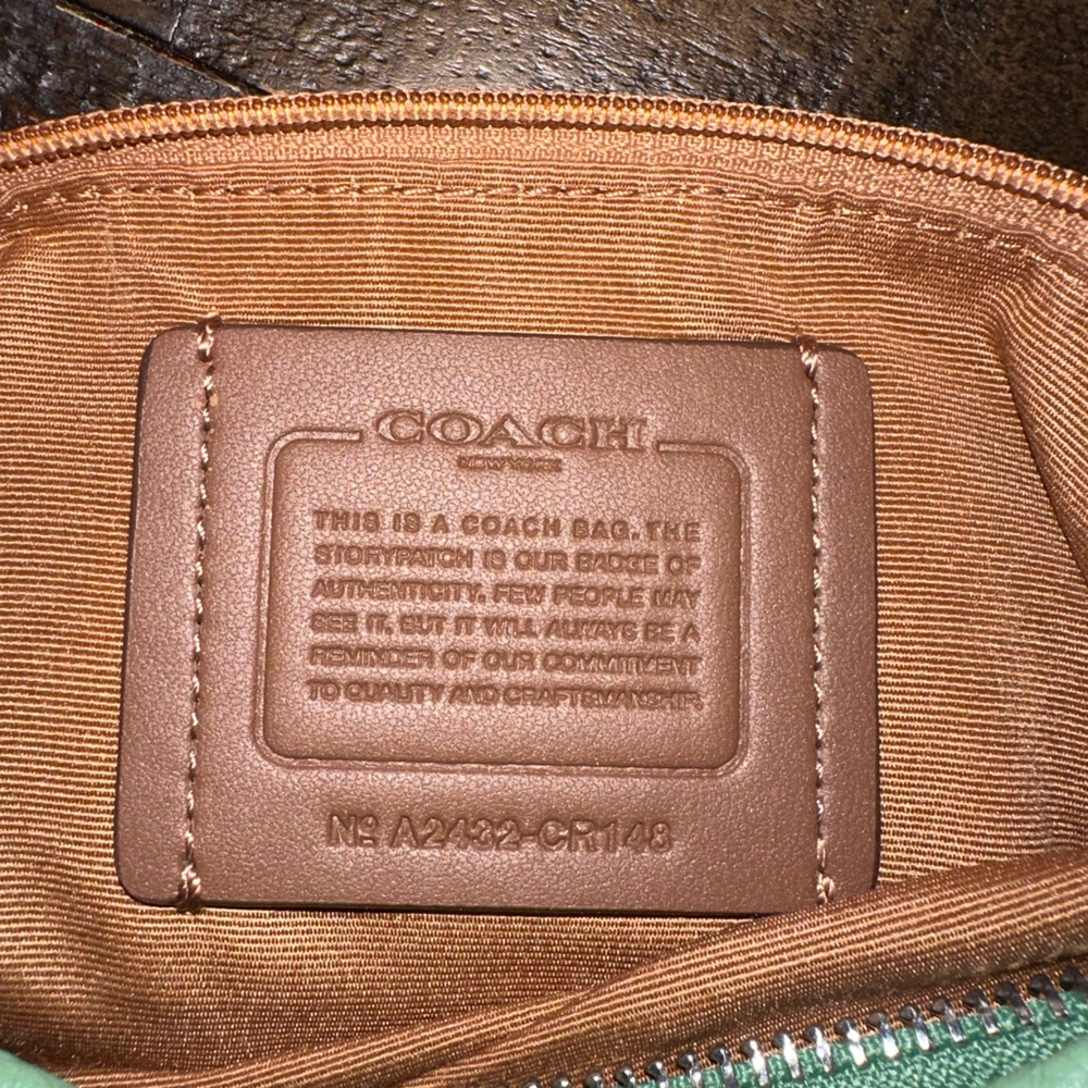 Medium coach hobo. Light green pebble leather. Comes with crossbody strap.